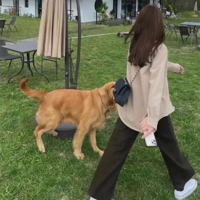 拾穗者与我